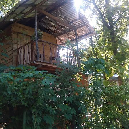 Angry Birds Tree House Apartment Habarana Ngoại thất bức ảnh
