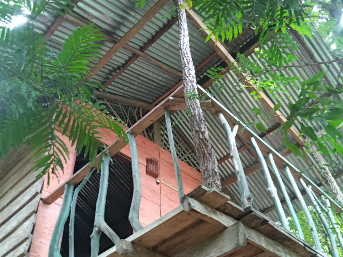 Angry Birds Tree House Apartment Habarana Ngoại thất bức ảnh