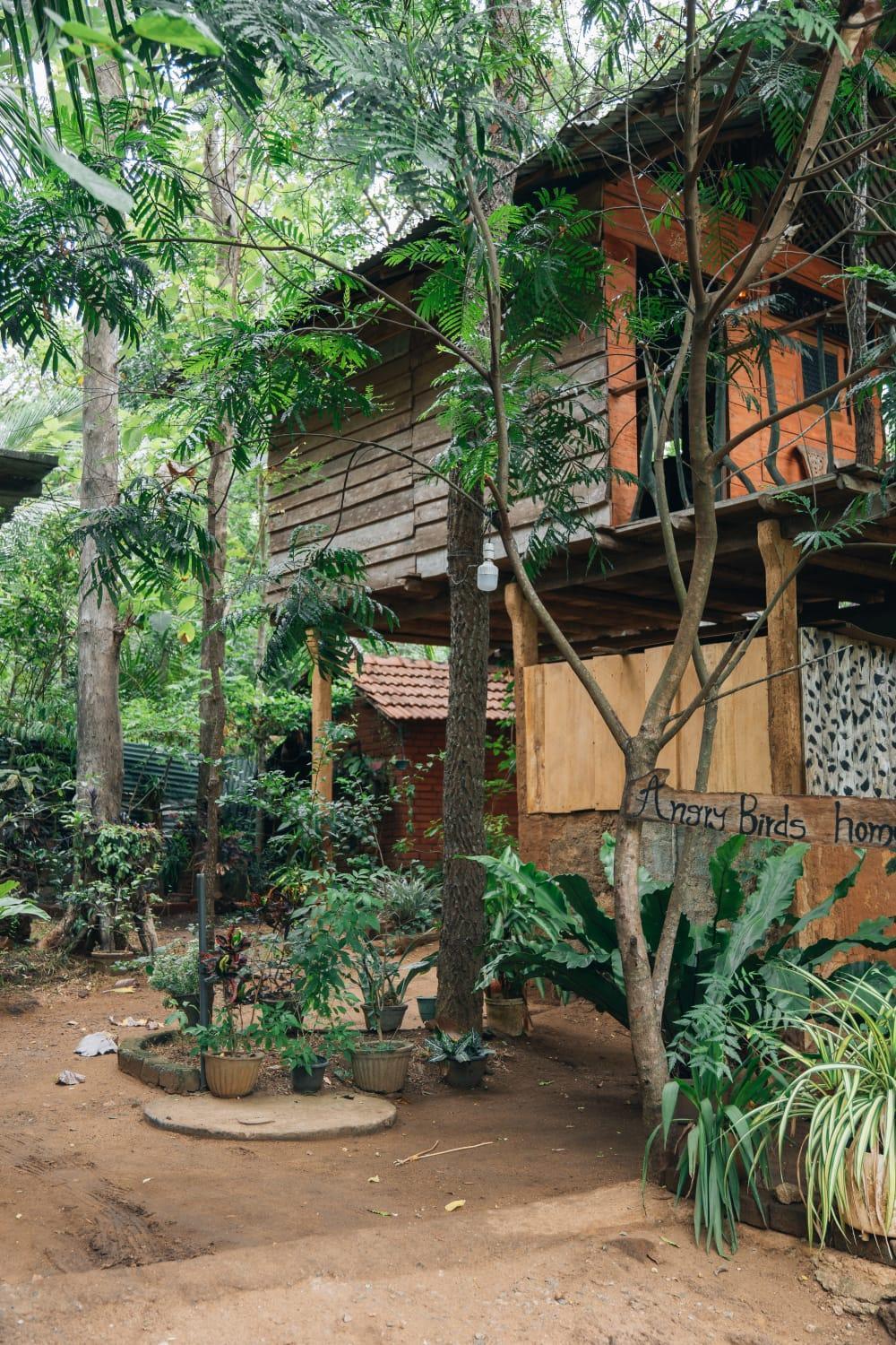 Angry Birds Tree House Apartment Habarana Ngoại thất bức ảnh