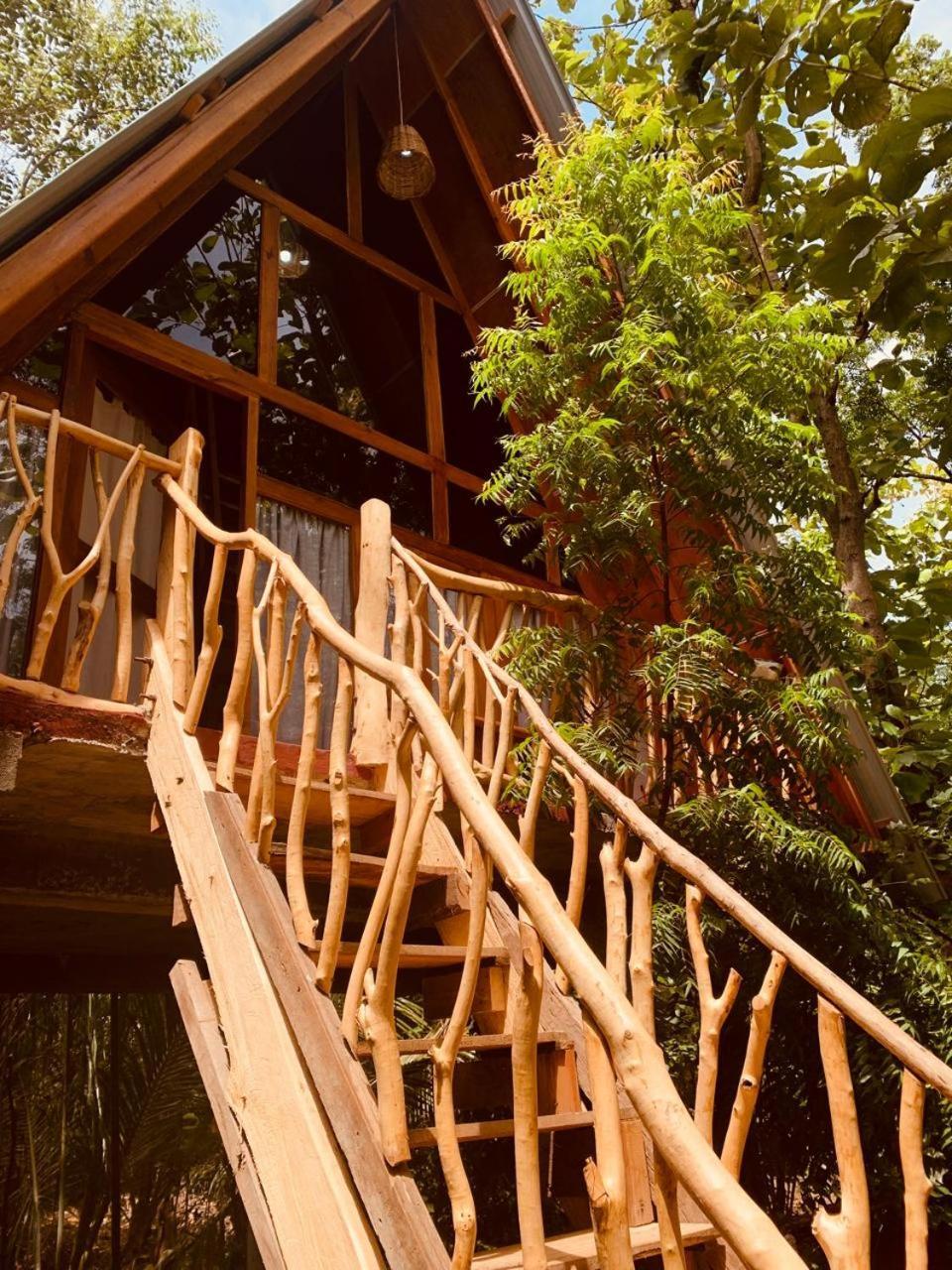 Angry Birds Tree House Apartment Habarana Ngoại thất bức ảnh