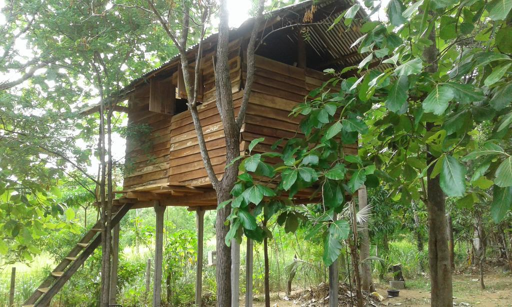 Angry Birds Tree House Apartment Habarana Ngoại thất bức ảnh