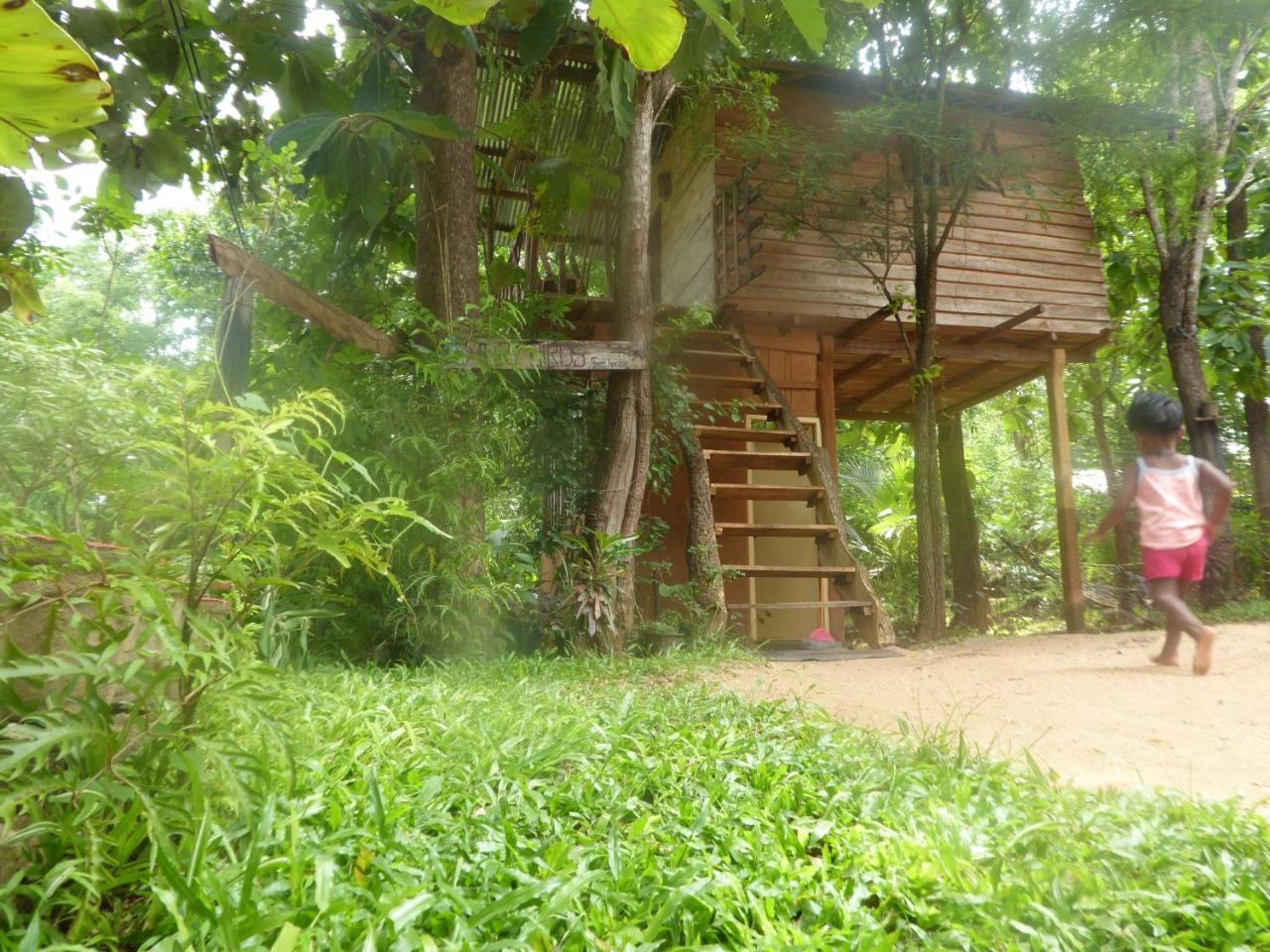 Angry Birds Tree House Apartment Habarana Ngoại thất bức ảnh
